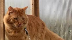 Renato, ten sklen��ek mus� je�t� po��dn� umejt. Neboj, j� na tebe dohl�dnu.