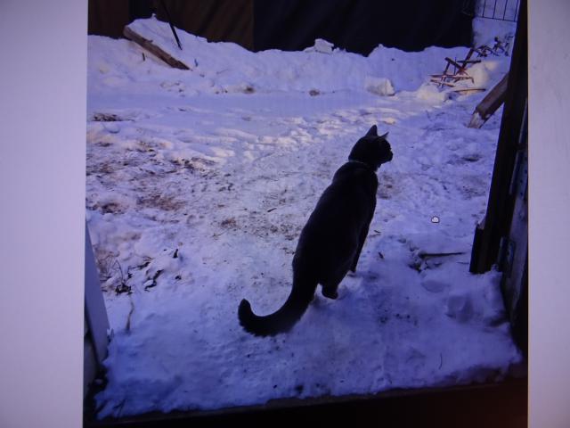 Nugget : �el jsem se pod�vat ven, jestli se u� nebl�� jaro.