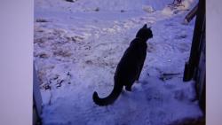 Nugget : �el jsem se pod�vat ven, jestli se u� nebl�� jaro.