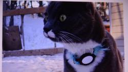 Nugget : hled�m, div mi o�i nevypadnou.