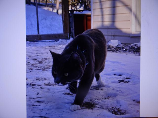 Nugget : pro jistotu se tro�ku p�ikr��m, co kdyby za rohem ��hala li�ka nebo medv�d. :-))