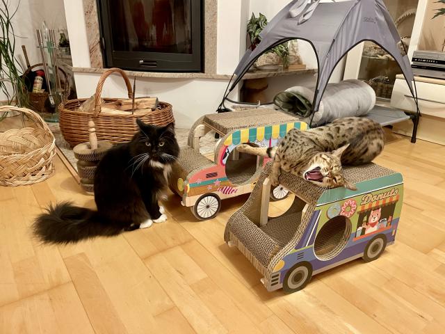 Jup�, m��eme jet na v�let😹