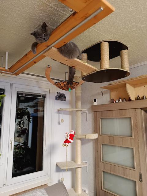 Po del�� dob� v�s v�echny zdrav� Ton�k