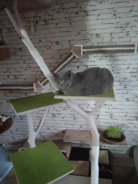 D�m si trochu voraz.