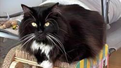 Tady le��m nejrad�i 😎