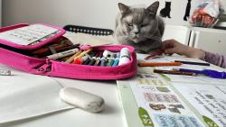 Dozor mus� byt😂