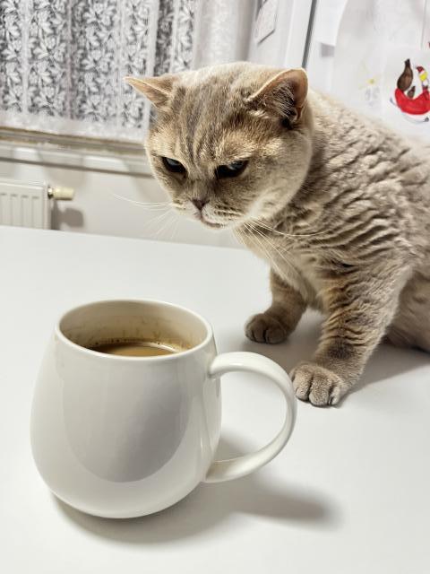 Zvedni si ho! Ud�l�m duc duc. A m��e� se p�evl�ci