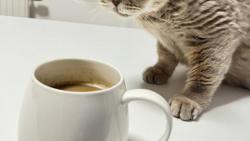 Zvedni si ho! Ud�l�m duc duc. A m��e� se p�evl�ci