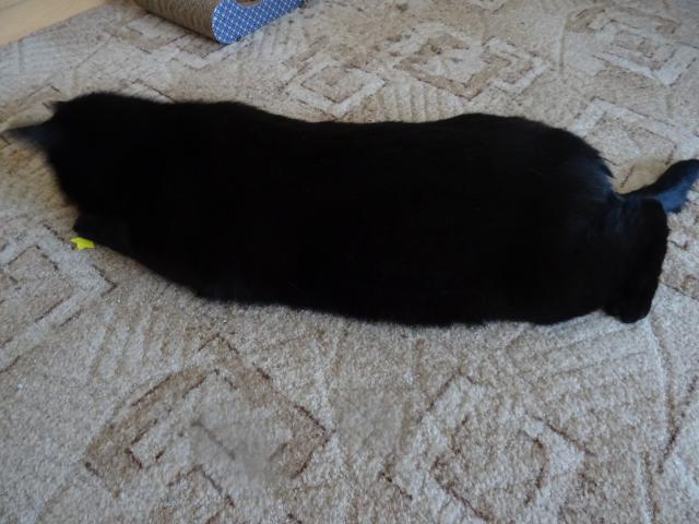 Dostal jsem �petku �anty a pod�vejte se, jak jsem se z toho nat�hnul. Pr� u� nebudu Macek, ale �pagetka.