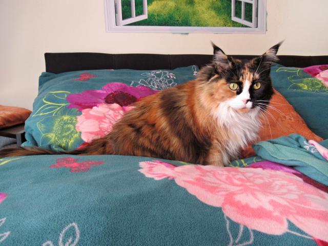 m�m ustl�no na r���ch.