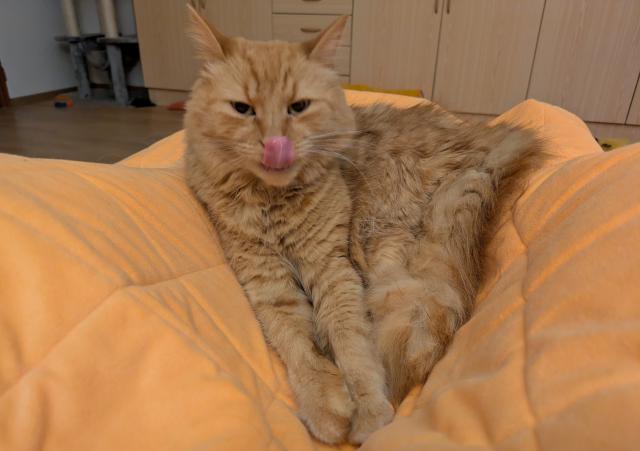 Hur�, dnes je sv�tek a p�n��ci nejdou do pr�ce 🙂