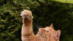 1/4 Dneska jsem se na cvi�en� p�ihl�sil j�.