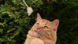2/4 Jednou jsem pinknul do cvi�ebn� pom�cky.