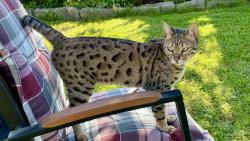 P�eji hezkou slune�nou ned�li ☀☀☀, takhle po r�nu je venku fajn 😀