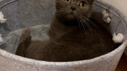 Jak Elv�ry!? Kup ji nov�! J� ho ani nep�j��m