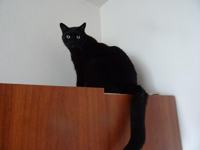 M� tady pavu�inu, v�  o n� ?