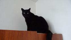 M� tady pavu�inu, v�  o n� ?