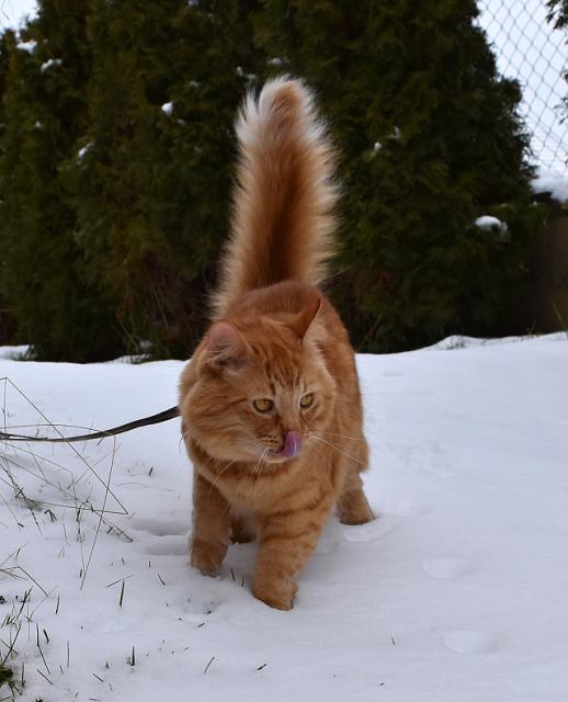 Jedna chladiv� fotka :-)