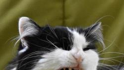 3/3 I kdyby ses ma�kat cht�la, tak t� sem stejn� nepust�m.