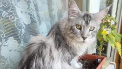 Co kouk�, jsem kyti�ka!
