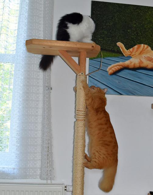 3/3 Kdy� se nechce� d�lit, tak ti ji prost� seberu.