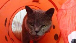 Na odpoledn� span� se ulo��m tady. Ur�it� m� tady nikdo nenajde.