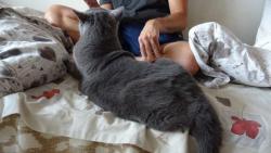 P�n�k dojel a po��dn� m� vyh�ebelcoval.