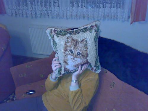 Nzev: Taky koka / Vystavovatel: Arabela