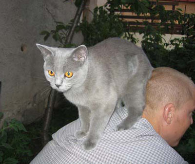 Ája, foto: Klára