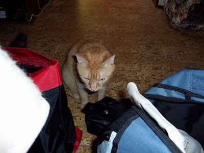 Jé, to je fšecko pro mně?