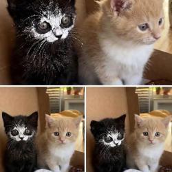 :)))