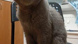 Já tvojí večeři opravdu neviděla! Ale svojí mňaminku jsem si našla🤭