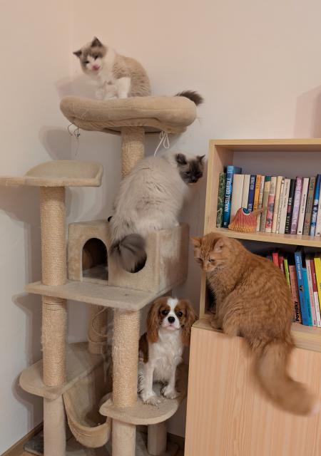 Pani�ce se poda�ilo vyfotit celou na�i sme�ku pohromad� 🙂