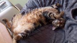 to m�m leh�ro,moje obl�ben� k�es�lko a p�n��ek?A� si stoj�