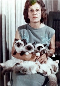 Chovatelka Ann Baker a koťata ragdoll