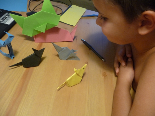Skldn origami koek