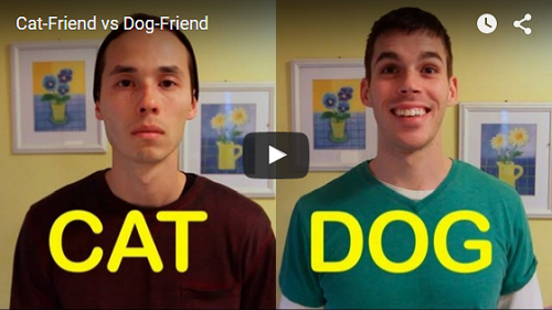Video: Kočičí vs. psí přítel