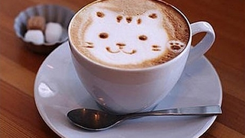 Kočičí latte art