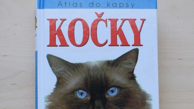Recenze knihy - Bruce Fogle: Kočky, atlas do ruky