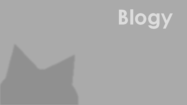 Ve světě kočičího internetového šílenství