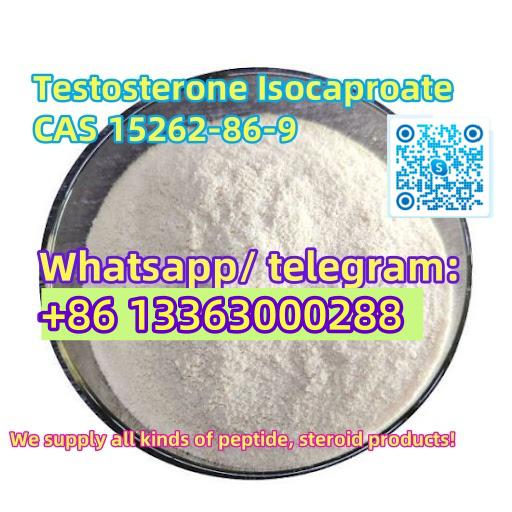 HIGH PRUE Testosterone isocaproate cas15262-86-9