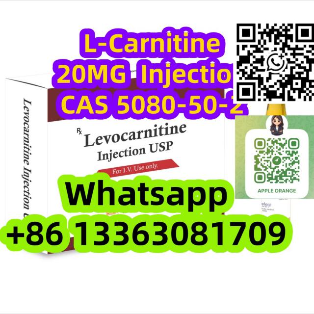 L-Carnitine 20MG Steriod Oil INJECTION CAS 5080-50-2