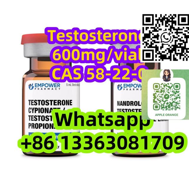 Testosterone Base 10ml x 100mg/ml INJECTION (TNE) CAS 58-22-0