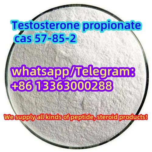 Testosterone propionate cas 57-85-2