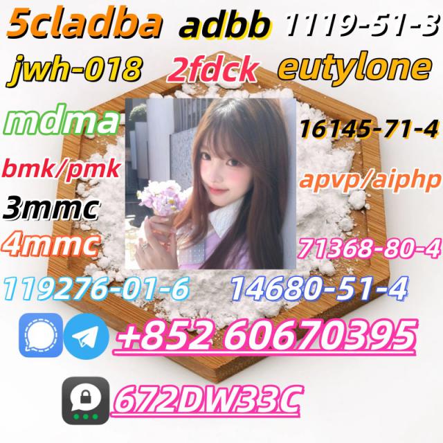 Hot sell product CAS 71368-80-4 good quality