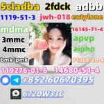 Safe delivery CAS 119276-01-6 China factory