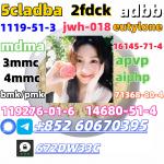 Safe delivery CAS 119276-01-6 China factory