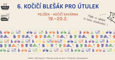 6. koi blek v Pelku - 19. - 20. nora 2018