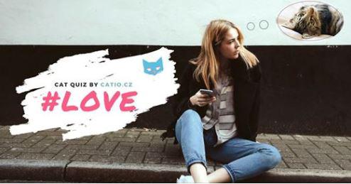 Love Cat Quiz by Catio.cz - 15. nora 2018