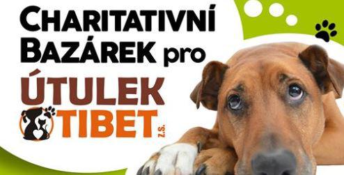 Bazrek pro zvtka - 19. - 24. dubna 2018